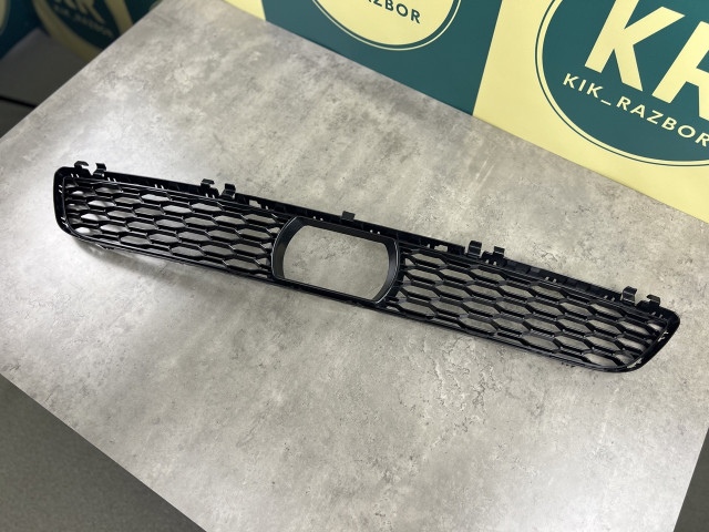 Центральна решітка переднього бамперу з отвором (M Paket) до рест. - BMW 5 (G30/G31) 51118064931